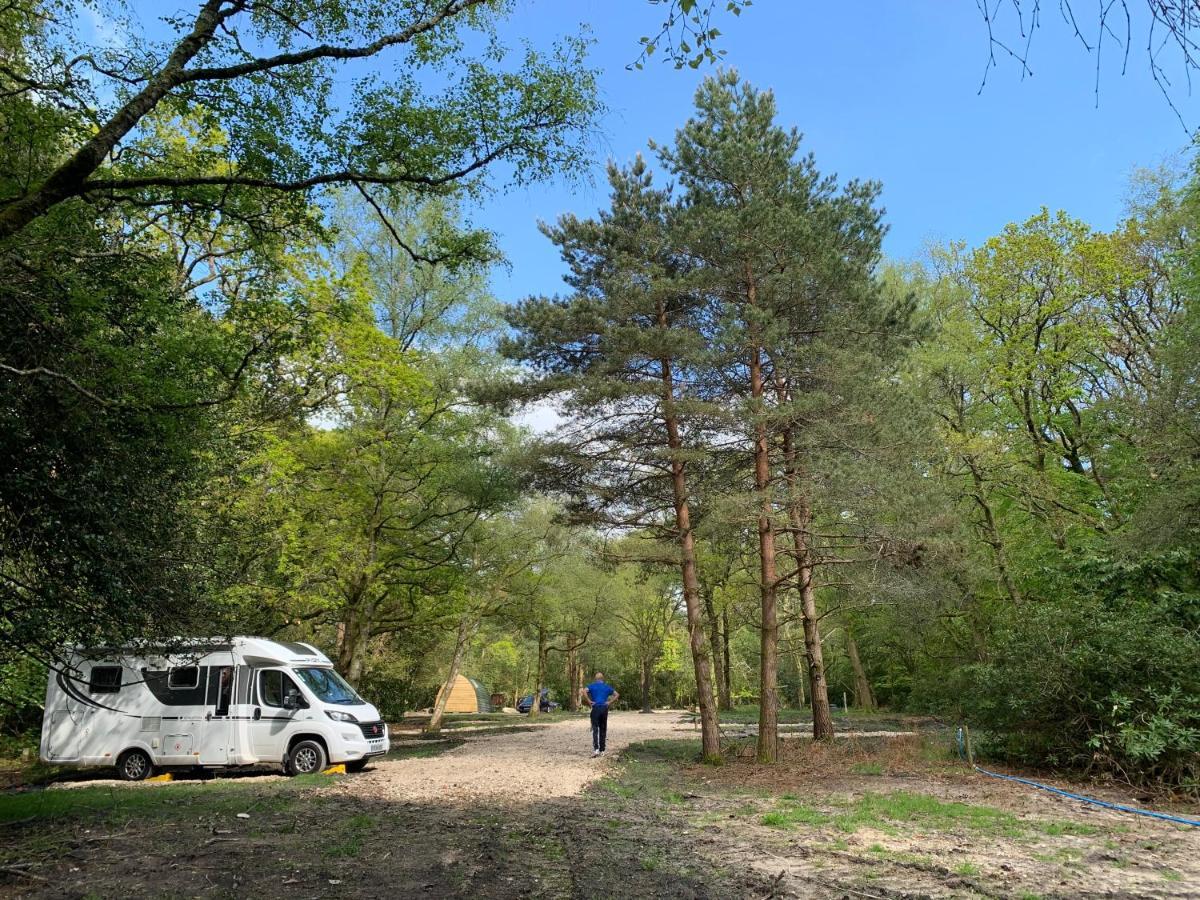 Nightjar Cabin At Cloudshill Glade Wareham Exterior photo